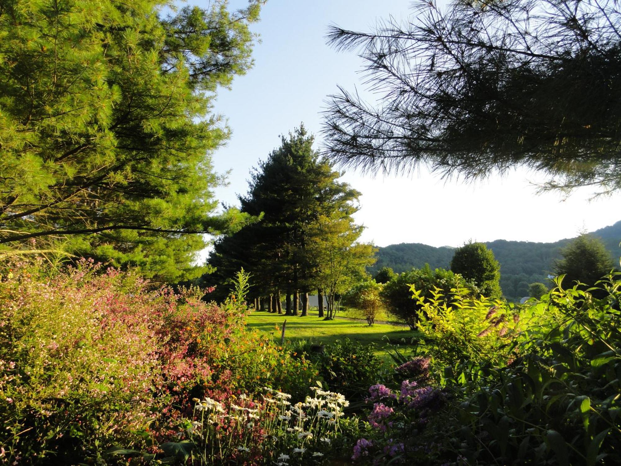 Beech Manor By Vci Real Estate Services Beech Mountain Zewnętrze zdjęcie